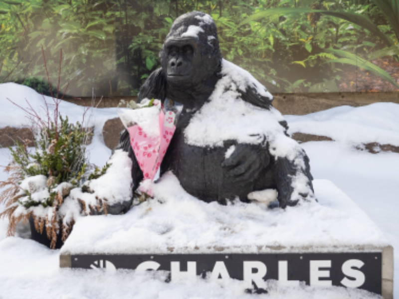 Year-End Projects Website - JRN 272